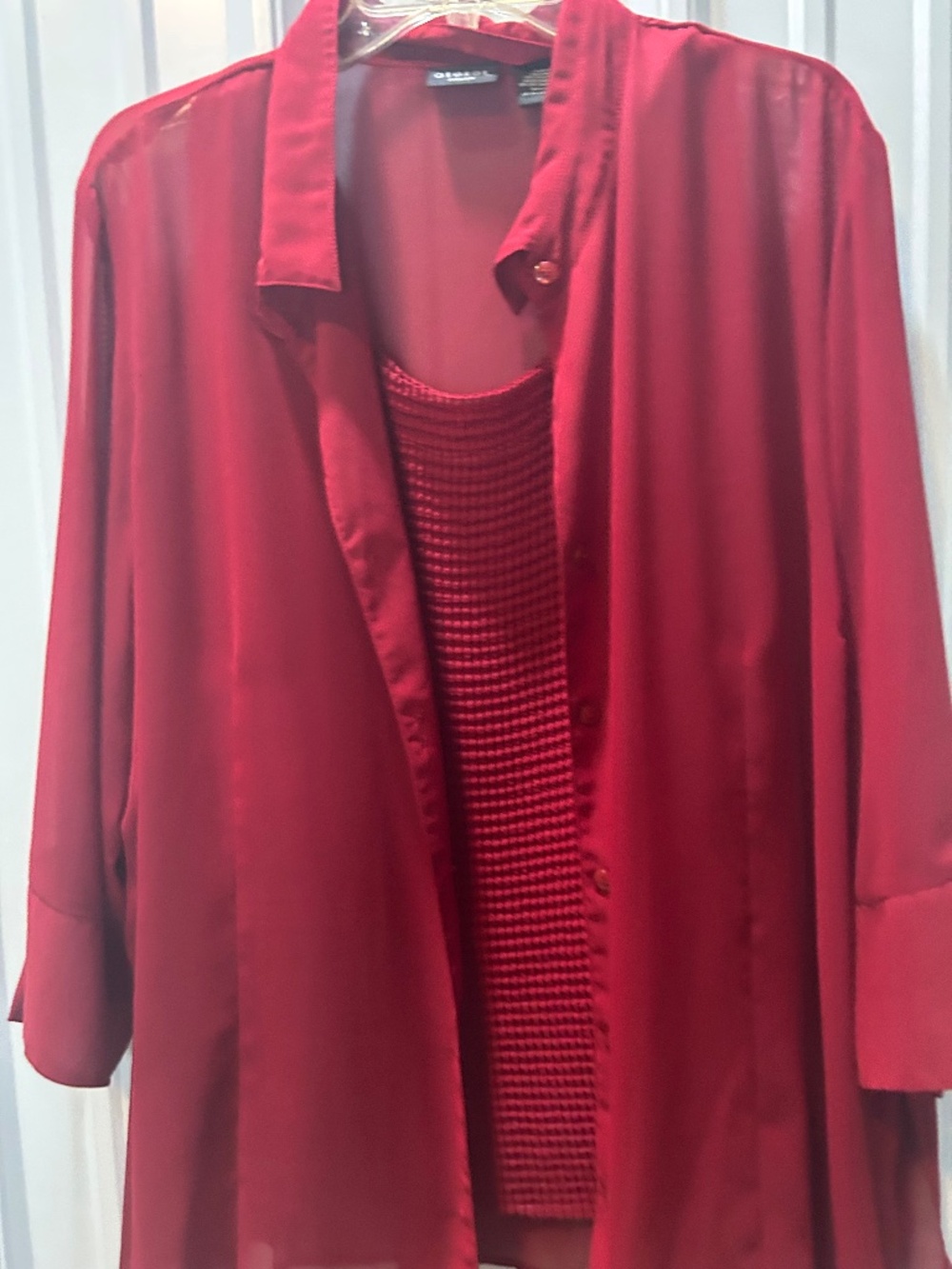 Red velvet chiffon blouse.